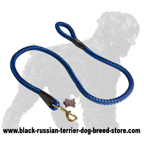 Colorful Cord Nylon Russian Terrier Leash