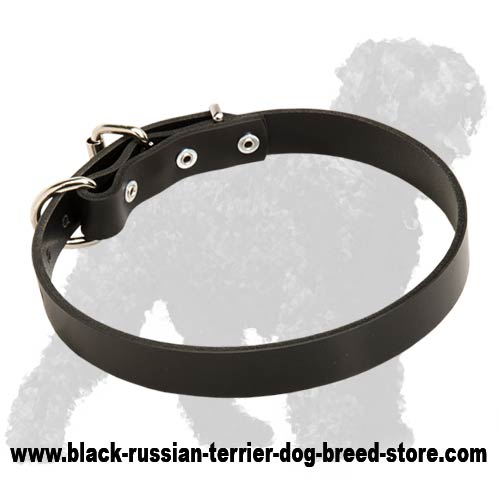 High Quality Leather Dog Collar for Black Russian Terriers