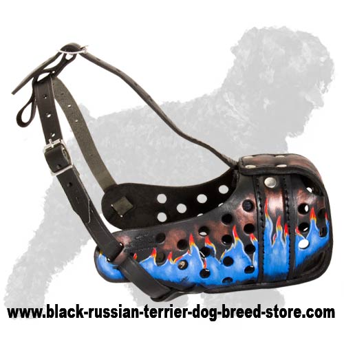 Uniquely Painted Durable Leather Muzzle for Black Russian Terrier