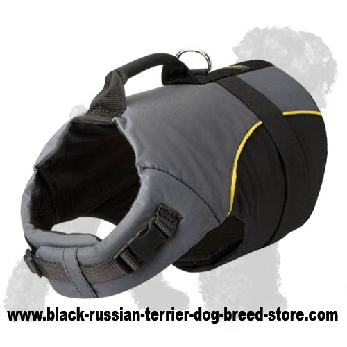 Stunningly Decorated Waterproof Nylon Russian Terrier Harness