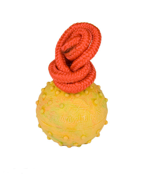 2 inch Training Dog Ball on Rope of Hollow Rubber - Small