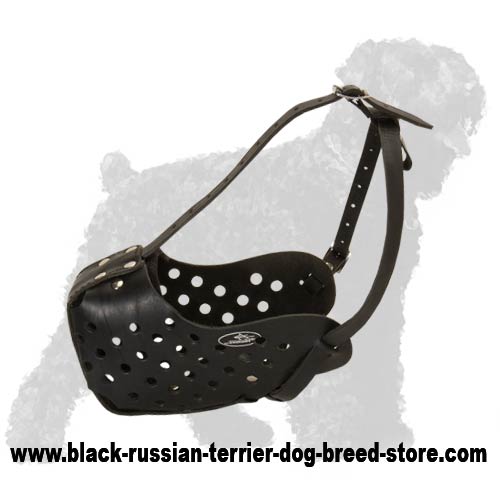Super Durable Daily Walking Leather Dog Muzzle for Russian Terriers