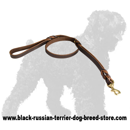 Reliable Leather Black Russian Terrier Leash with Braids