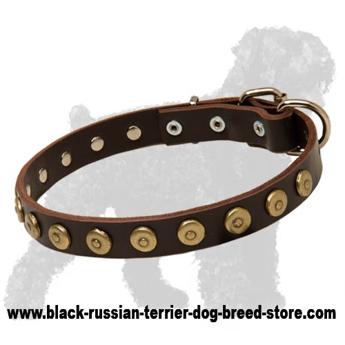 Gorgeous Leather Russian Terrier Collar With Dotted Circles