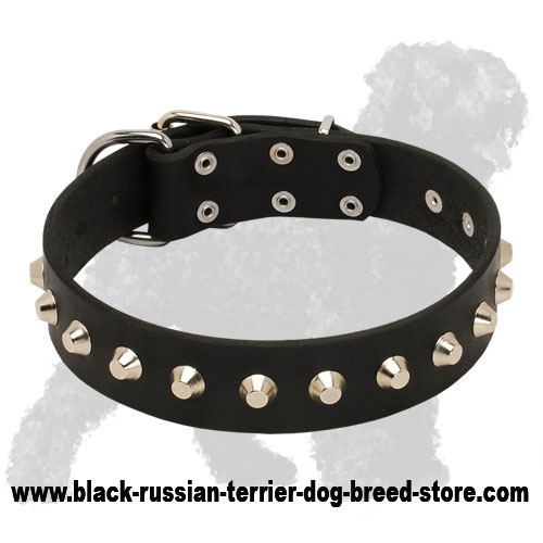 Elegant Leather Black Russian Terrier Collar with Nickel Pyramids