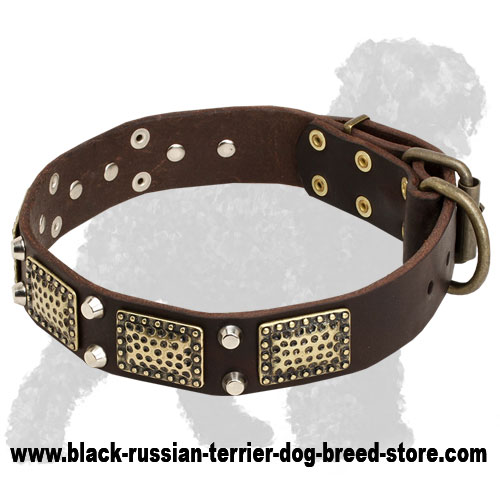 Royal Leather Russian Terrier Collar with Old Massive Vintage Plates and Nickel Cones
