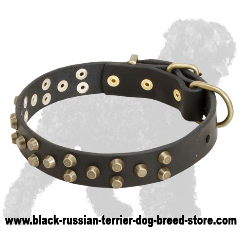 Studded Walking Leather Black Russian Terrier Collar - Click Image to Close