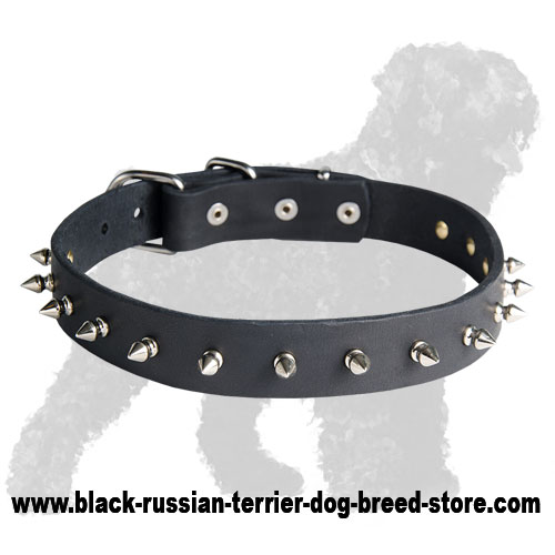 Stylish Leather Russian Terrier Collar with One Row of Nickel Spikes - Click Image to Close