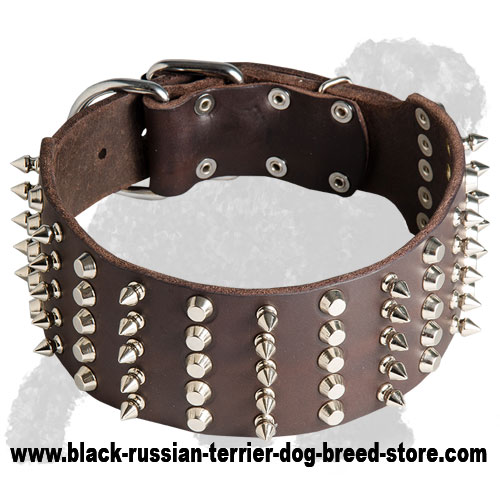 Wide Spiked and Studded Leather Russian Terrier Collar