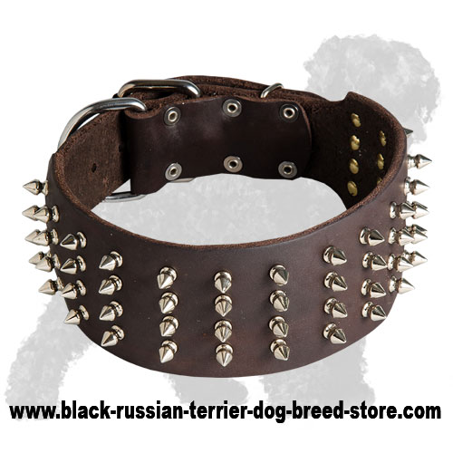 Stylish Wide Leather Russian Terrier Collar with Spikes