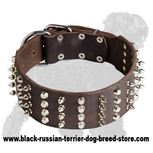 Wide Hand-Decorated Leather Black Russian Terrier Collar