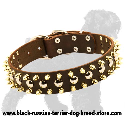 Handcrafted Leather Russian Terrier Collar with Spikes and Studs