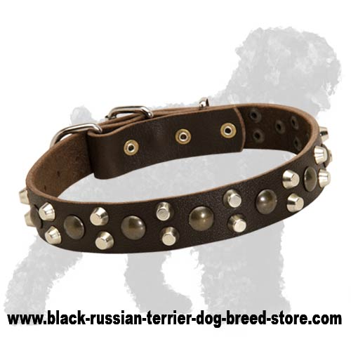 Fabulous Leather Russian Terrier Collar with Studs and Pyramids