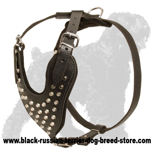 Marvellous Russian Terrier Leather Harness with Silver Colored Pyramids