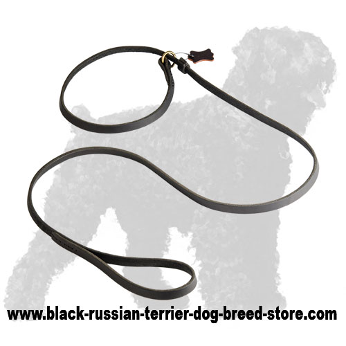 Strong Leather Russian Terrier Leash and Collar Combo - Click Image to Close