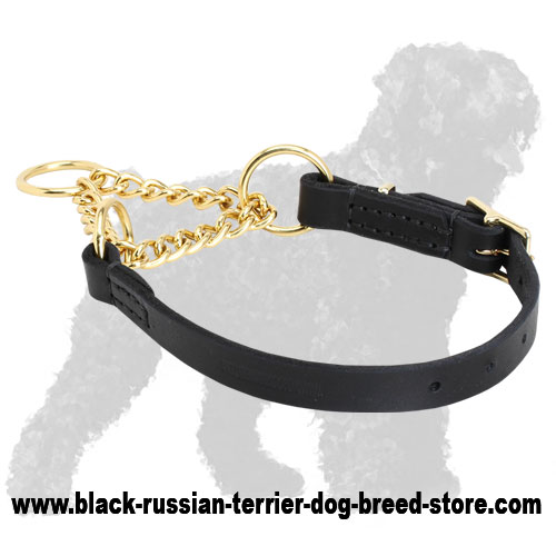 2 inch leather martingale collar