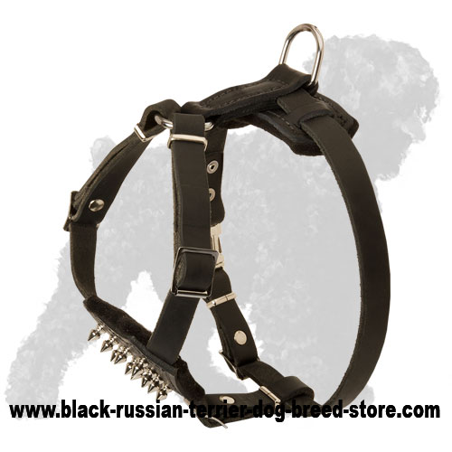 Small Walking Leather Black Russian Terrier Harness With Spikes H23 1043 Spiked Chest Puppy Muzzle Collar Dog Leash - Small Dog Leather Harness Small Walking Leather Black Russian Terrier Harness With Spikes H23 1043 Spiked Chest Puppy Muzzle Collar Dog Leash - Small Dog Leather Harness