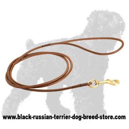 Elegant Leather Black Russian Terrier Dog Show Leash