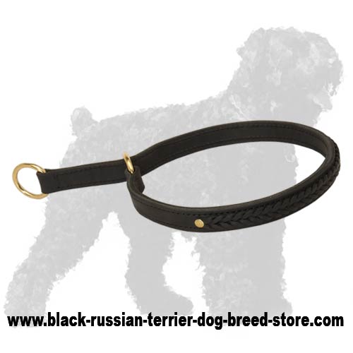 Gorgeous Wide 2 Ply Leather Choke Black Russian Terrier Collar