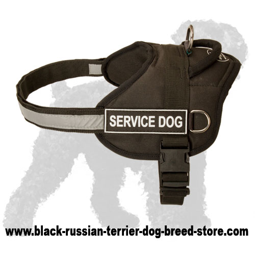 Adjustable Nylon Russian Terrier Harness with a Reflective Strap