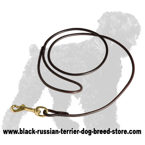 Elegant Rolled Leather Russian Terrier Show Leash