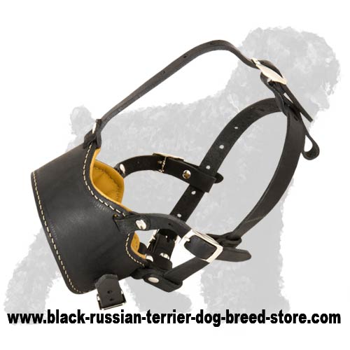 Super Comfortable Leather Dog Muzzle of a Unique Design