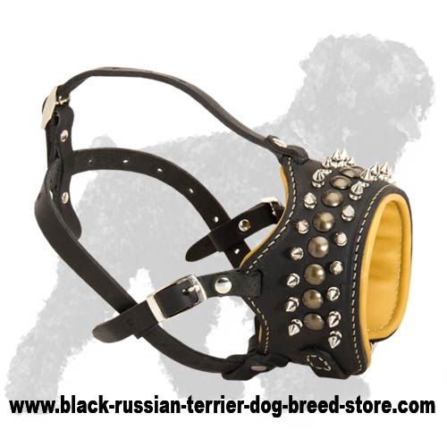 Royal Spiked Leather Dog Muzzle