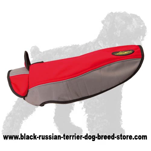 Fabulous Russian Terrier Nylon Winter Coat with a Stand-Up Collar
