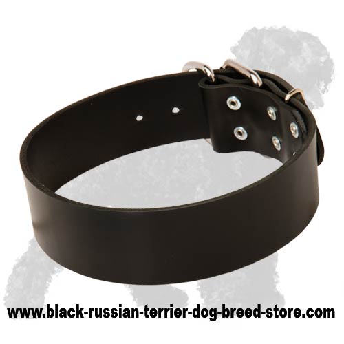 2 inch Wide Leather Russian Terrier Collar for Walking