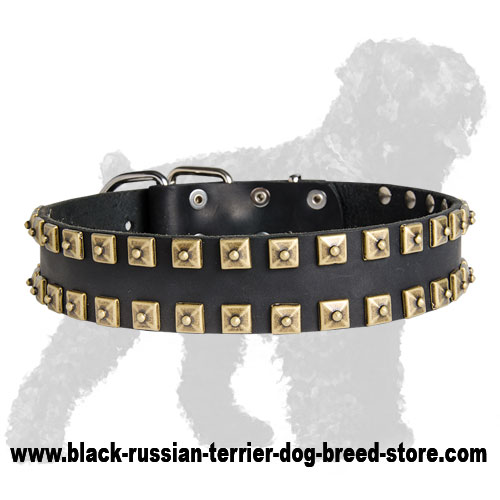 Reliable Leather Russian Terrier Collar with Brass Studs for Training