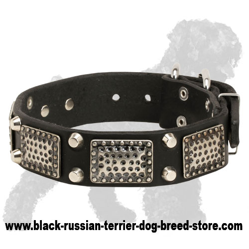 Gorgeous Leather Russian Terrier Collar with Vintage Nickel Plates and Cones