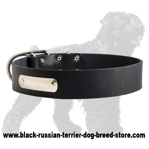 Leather Black Russian Terrier Collar with ID Tag