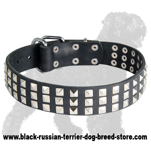 Wide Stylish Leather Russian Terrier Collar with Pyramids