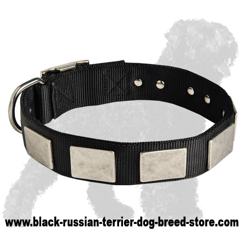 Nylon Russian Terrier Collar For Large and Medium Breeds With Vintage Plates