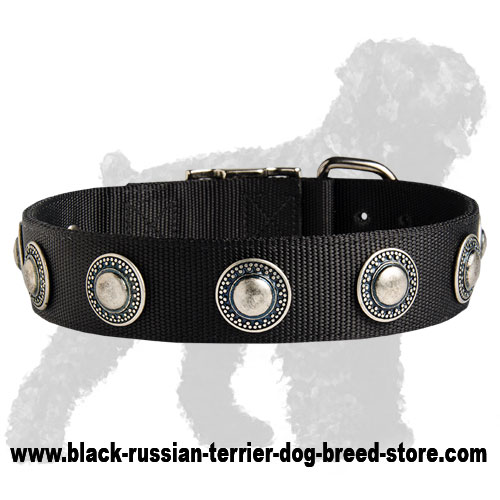 Fashionable Nylon Collar with Silvery Conchos for Training