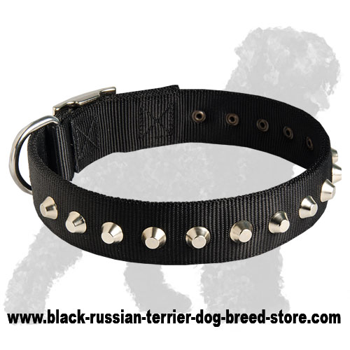 Gorgeous Wide Nylon Dog Collar With Nickle Pyramids