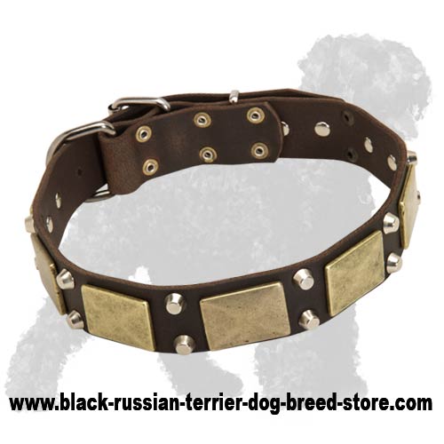 Luxury Wide Leather Russian Terrier Collar with Massive Plates and Nickel Studs