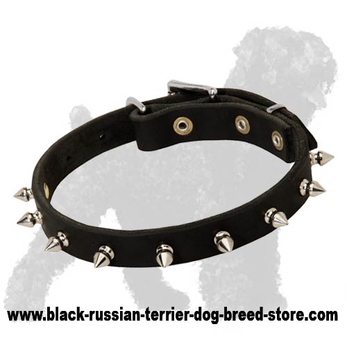 Uniquely Designed Leather Russian Terrier Collar with Fancy Nickel Spikes