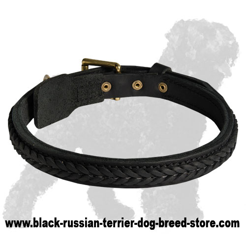 Fantastic Braided Leather Collar for Black Russian Terriers