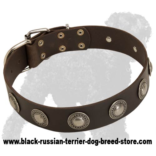 Exlusive Leather Russian Terrier Collar with Hand Set Conchos
