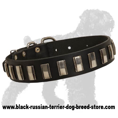 Brilliant Leather Russian Terrier Collar with Neatly Hand Set Shiny Plates