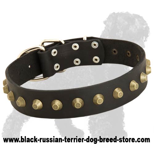 Gorgeous Wide Leather Dog Collar With Brass Pyramids