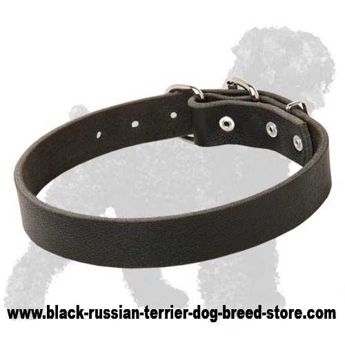 Leather Collar for Russian Terriers ( 1 1/5 inch, 3 cm width)