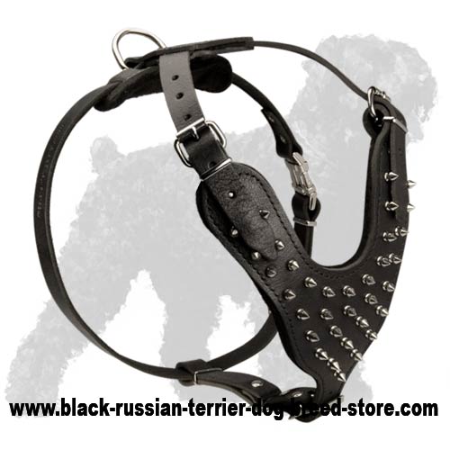 Fascinating Spiked Leather Dog Harness for Russian Terrier