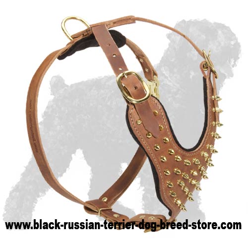 Brass Spiked Daily Walking Stylish Dog Harness for Black Russian Terriers - Click Image to Close