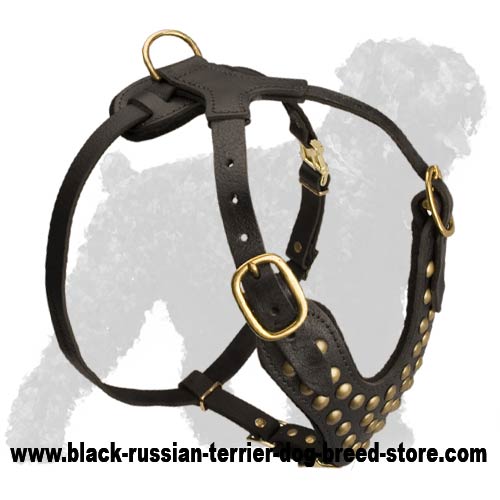 Stylish Studded Russian Terrier Harness for Effective Trainings