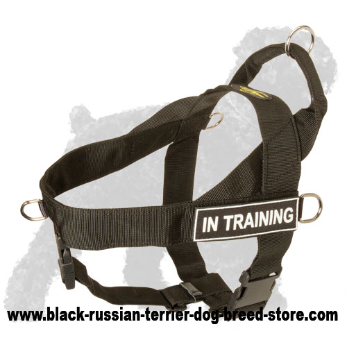 Durable Nylon Russian Terrier Harness for Pulling, Tracking and Training