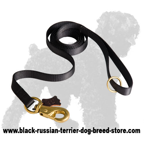 Strong Any Weather Nylon Russian Terrier Leash