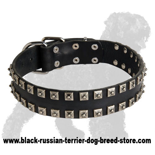 New Fashionable Leather Russian Terrier Collar - "Caterpillar"