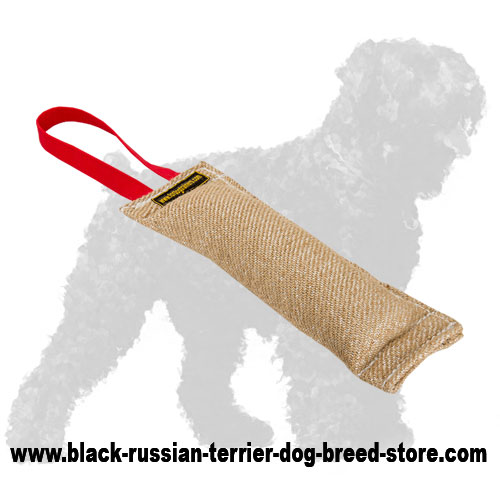 Reliable Jute Russian Terrier Tug with Handle